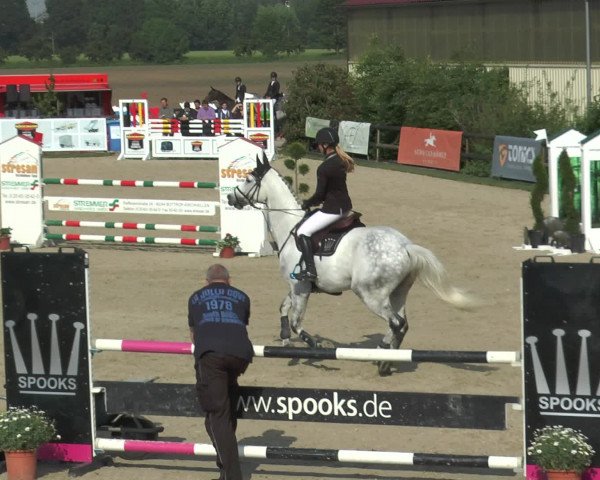 Reitturnier Kirchhellen/Stall Dieckmann 2016