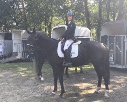 jumper Khaleesi G (Oldenburg, 2016, from Kannan)