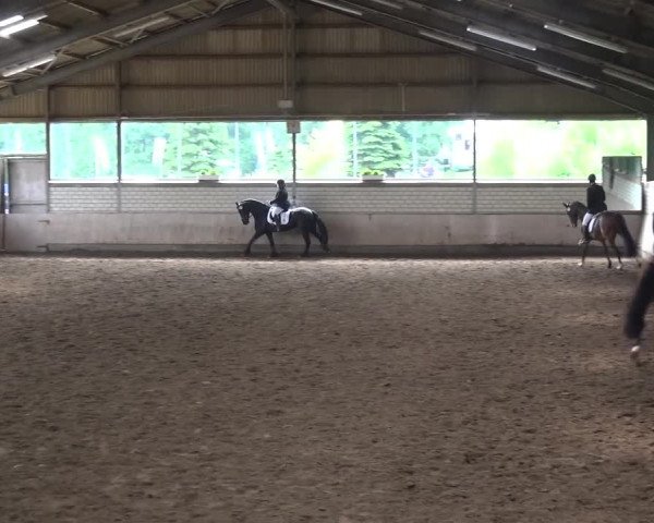 Reitturnier Sprockhövel, Auf der Gethe 2016