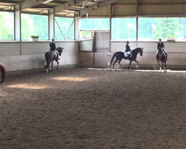 Reitturnier Sprockhövel, Auf der Gethe 2016