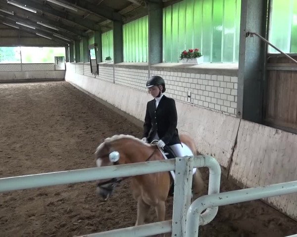 Reitturnier Sprockhövel, Auf der Gethe 2016
