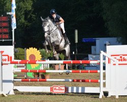 Springpferd Chorch (Holsteiner, 2012, von Clinton I)
