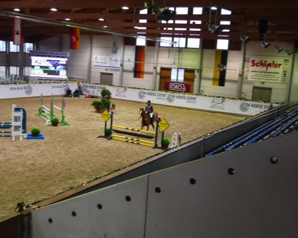 Christmas Jumping Trophy Prussendorf 2021