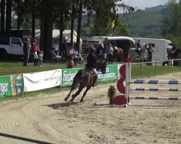 44. Drei-Länder-Challenge Haiger-Rodenbach 2016