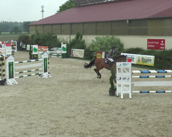 Reitturnier Kirchhellen/Stall Dieckmann 2016