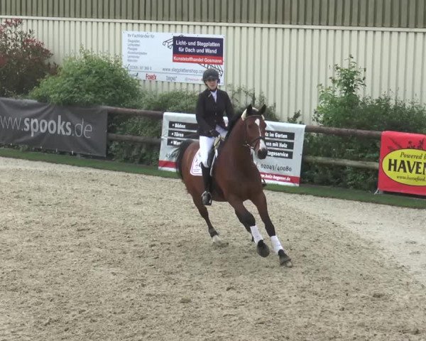 Reitturnier Kirchhellen/Stall Dieckmann 2016