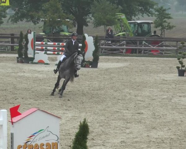 Reitturnier Kirchhellen/Stall Dieckmann 2016