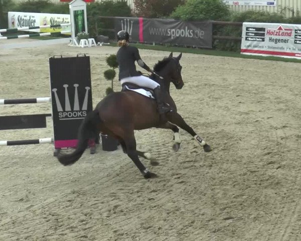 Reitturnier Kirchhellen/Stall Dieckmann 2016