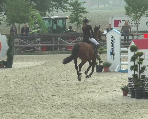 Reitturnier Kirchhellen/Stall Dieckmann 2016