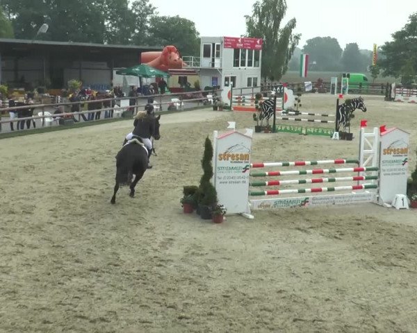 Reitturnier Kirchhellen/Stall Dieckmann 2016
