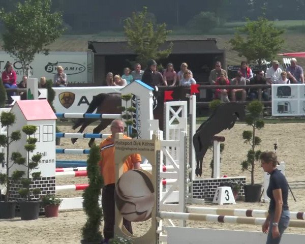 Reitturnier Kirchhellen/Stall Dieckmann 2016