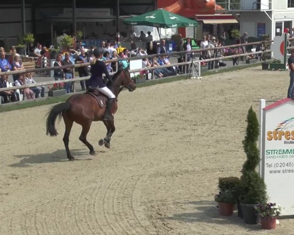 Reitturnier Kirchhellen/Stall Dieckmann 2016