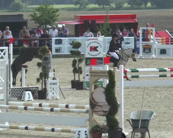 Reitturnier Kirchhellen/Stall Dieckmann 2016