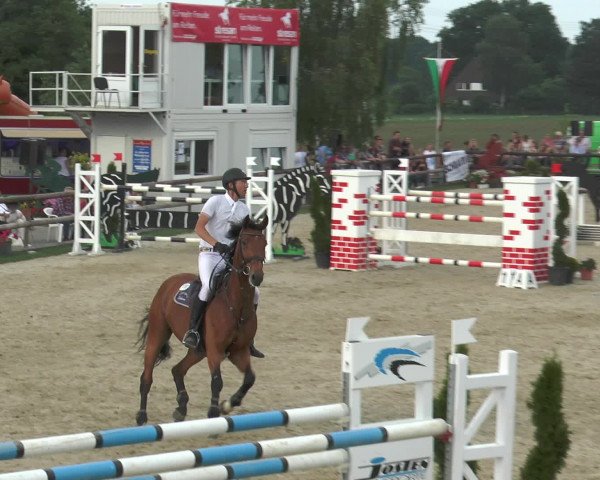 Reitturnier Kirchhellen/Stall Dieckmann 2016
