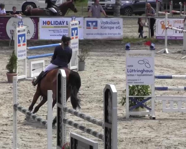 Reitturnier Kierspe-Hohenholten 2016