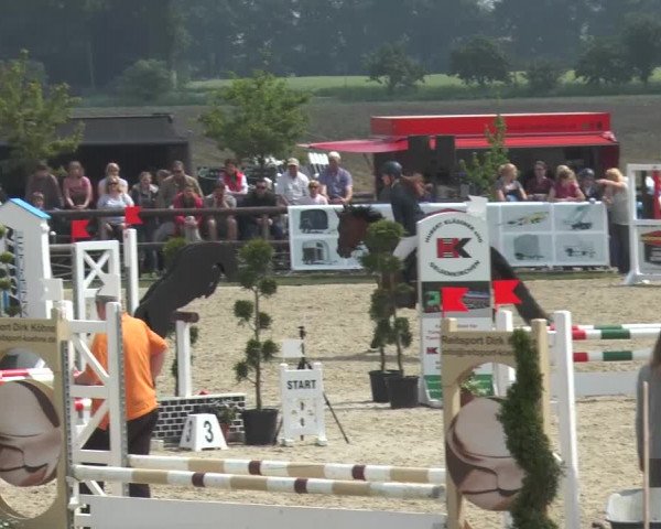 Reitturnier Kirchhellen/Stall Dieckmann 2016
