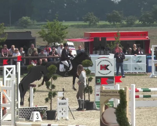 Reitturnier Kirchhellen/Stall Dieckmann 2016