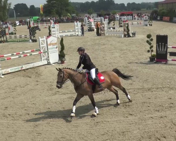 Reitturnier Kirchhellen/Stall Dieckmann 2016