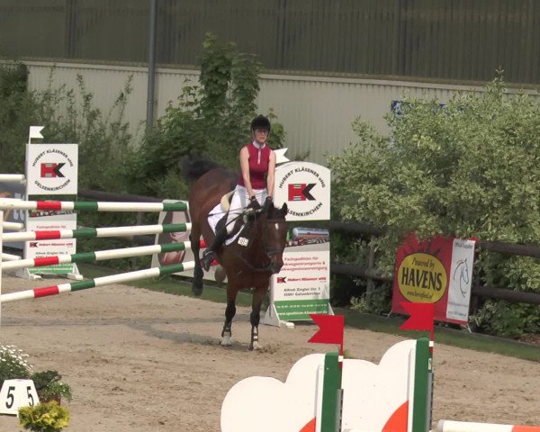 Reitturnier Kirchhellen/Stall Dieckmann 2016