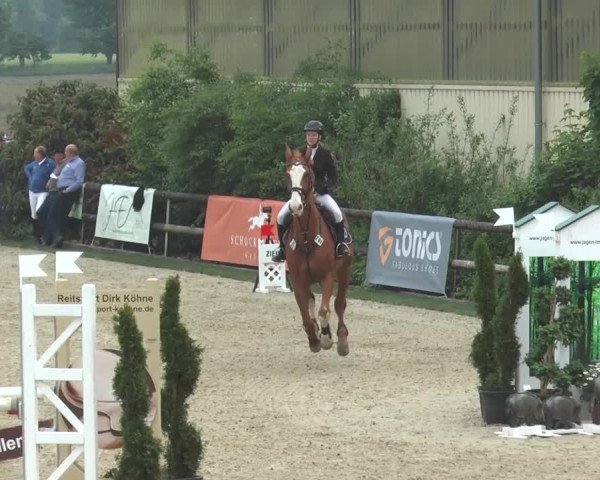Reitturnier Kirchhellen/Stall Dieckmann 2016