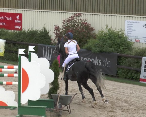 Reitturnier Kirchhellen/Stall Dieckmann 2016