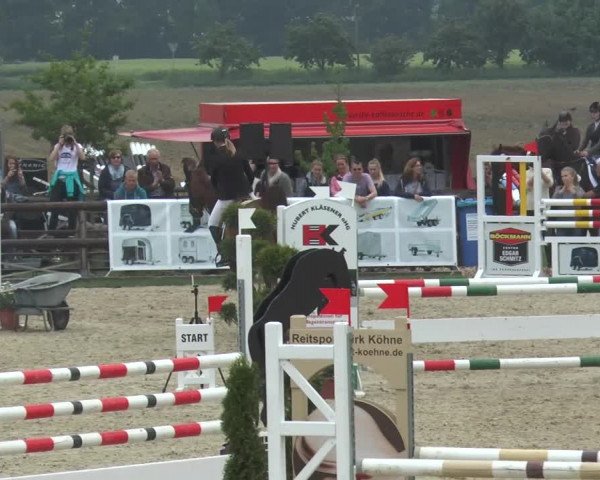 Reitturnier Kirchhellen/Stall Dieckmann 2016
