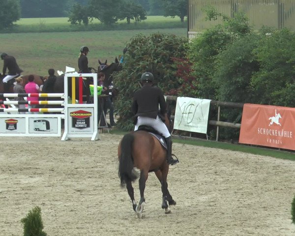 Reitturnier Kirchhellen/Stall Dieckmann 2016