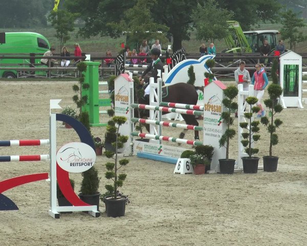 Reitturnier Kirchhellen/Stall Dieckmann 2016