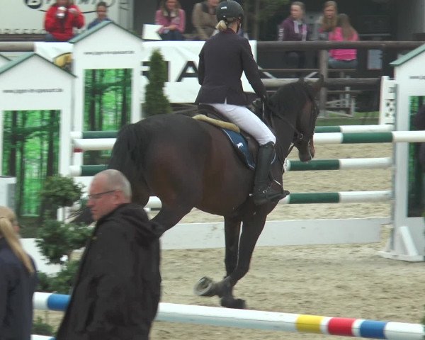 Reitturnier Kirchhellen/Stall Dieckmann 2016
