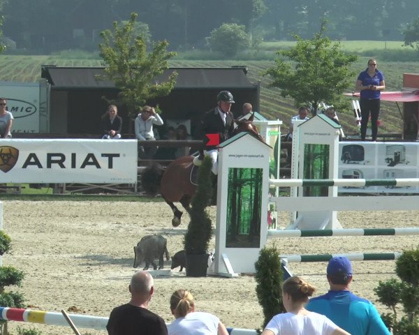 Reitturnier Kirchhellen/Stall Dieckmann 2016