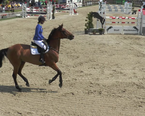 Reitturnier Kirchhellen/Stall Dieckmann 2016