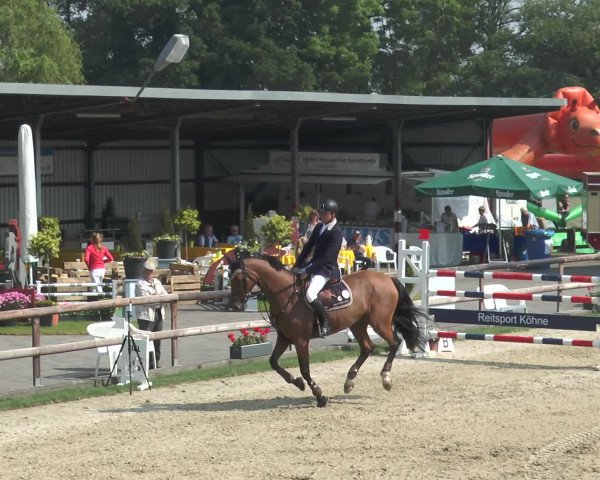 Reitturnier Kirchhellen/Stall Dieckmann 2016