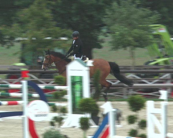 Reitturnier Kirchhellen/Stall Dieckmann 2016
