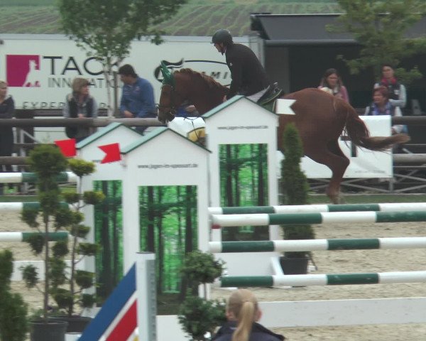 Reitturnier Kirchhellen/Stall Dieckmann 2016