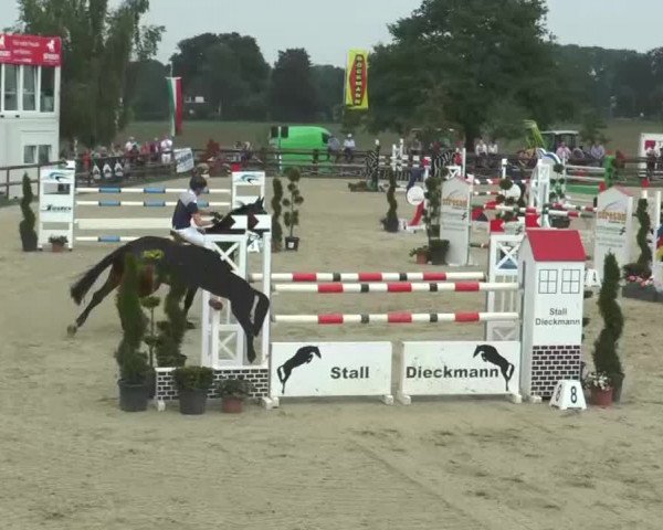 Reitturnier Kirchhellen/Stall Dieckmann 2016