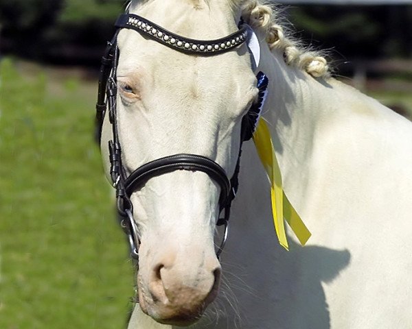 broodmare Fyrstinde Feodo (Rhinelander, 2008, from Der Harlekin B)