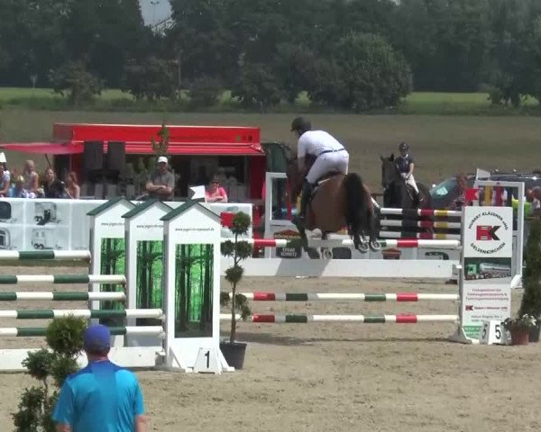Reitturnier Kirchhellen/Stall Dieckmann 2016