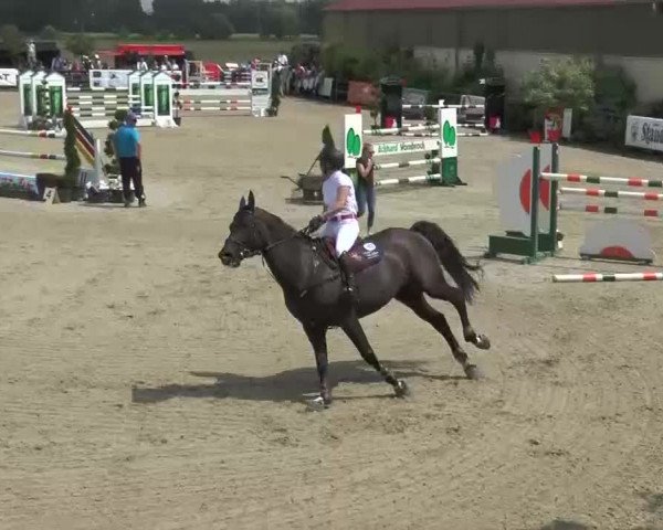 Reitturnier Kirchhellen/Stall Dieckmann 2016
