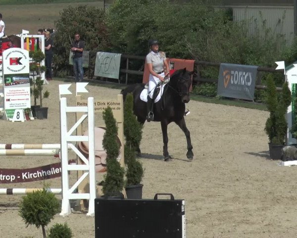 Reitturnier Kirchhellen/Stall Dieckmann 2016
