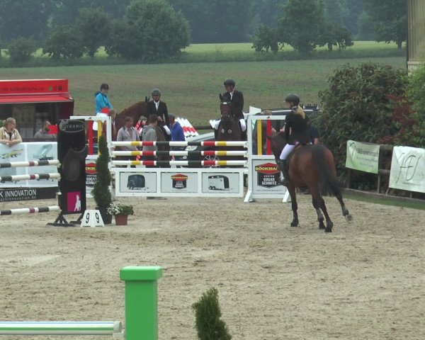 Reitturnier Kirchhellen/Stall Dieckmann 2016