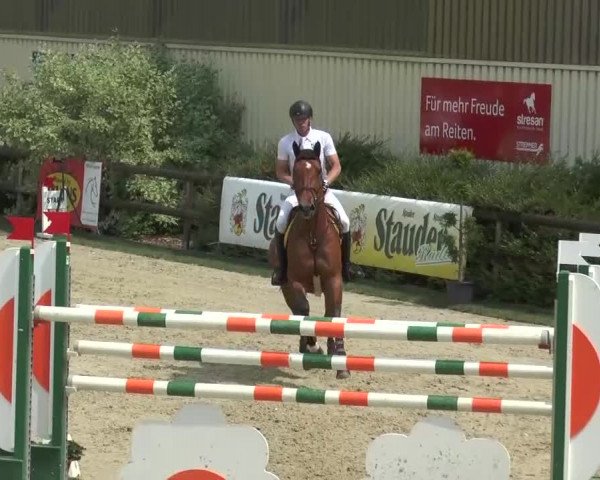 Reitturnier Kirchhellen/Stall Dieckmann 2016