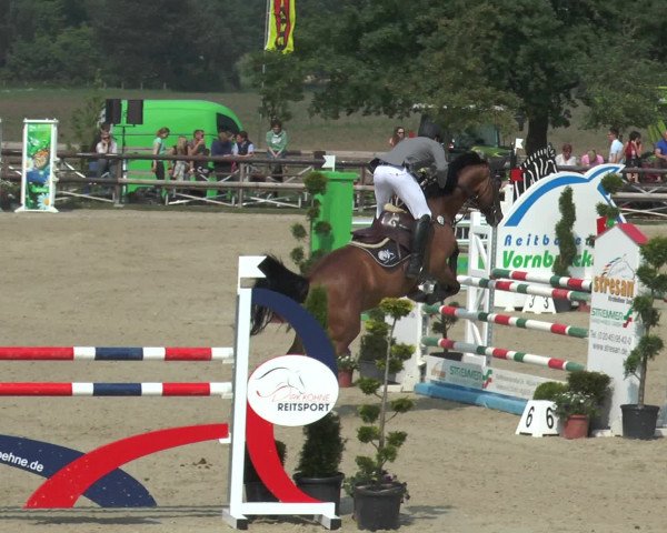 Reitturnier Kirchhellen/Stall Dieckmann 2016