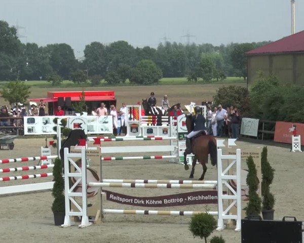 Reitturnier Kirchhellen/Stall Dieckmann 2016