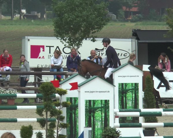Reitturnier Kirchhellen/Stall Dieckmann 2016