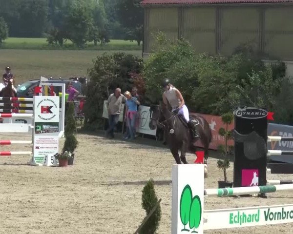 Reitturnier Kirchhellen/Stall Dieckmann 2016