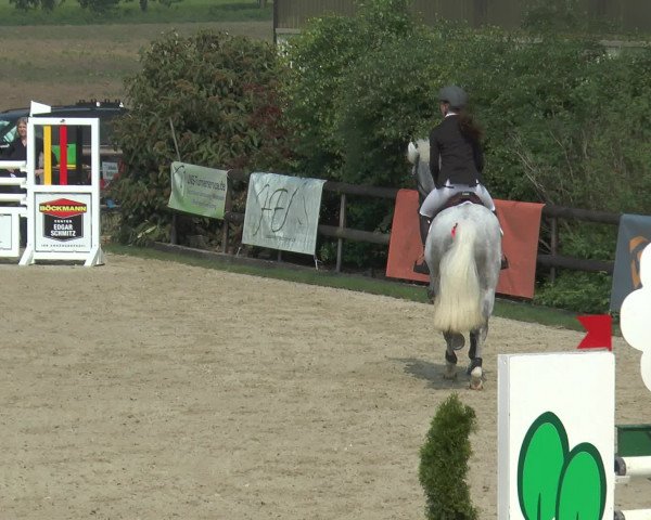 Reitturnier Kirchhellen/Stall Dieckmann 2016