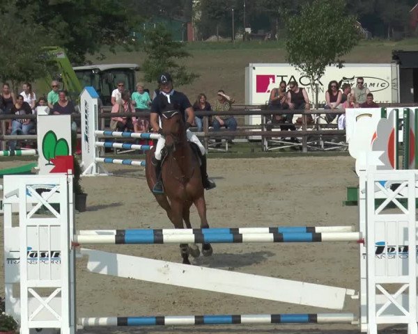 Reitturnier Kirchhellen/Stall Dieckmann 2016