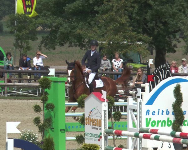 Reitturnier Kirchhellen/Stall Dieckmann 2016