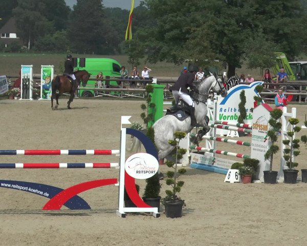 Reitturnier Kirchhellen/Stall Dieckmann 2016
