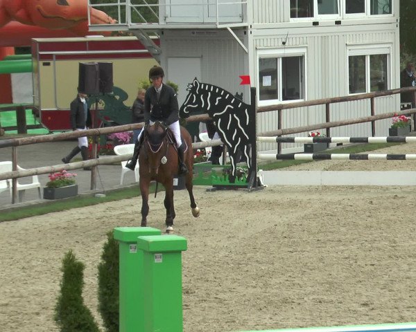 Reitturnier Kirchhellen/Stall Dieckmann 2016